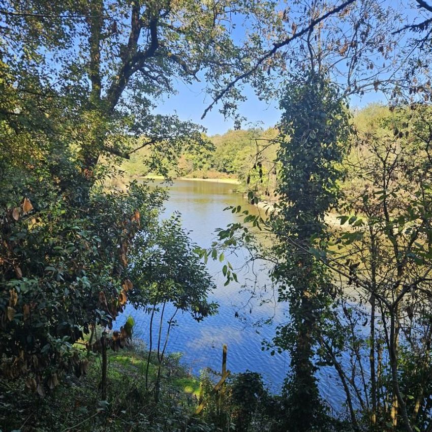 Image Vue à  maison de village de Mareuil-sur-Lay-Dissais