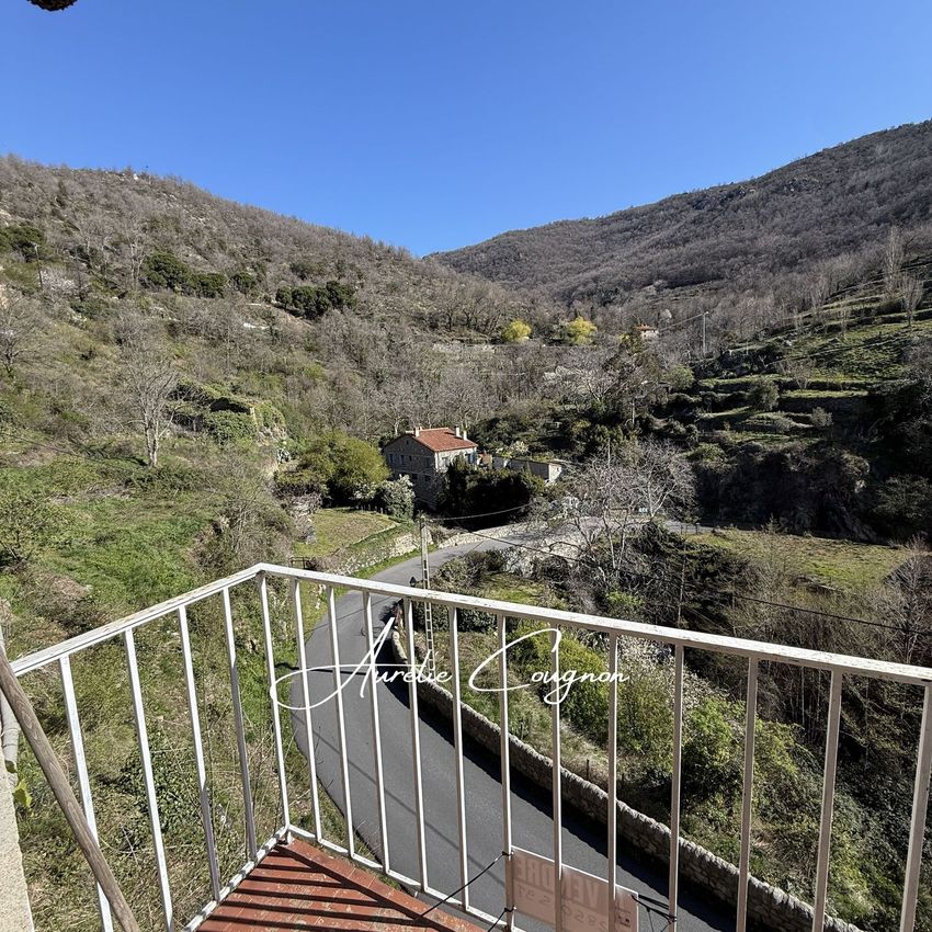 Image Vue à  maison jumelée de Mosset