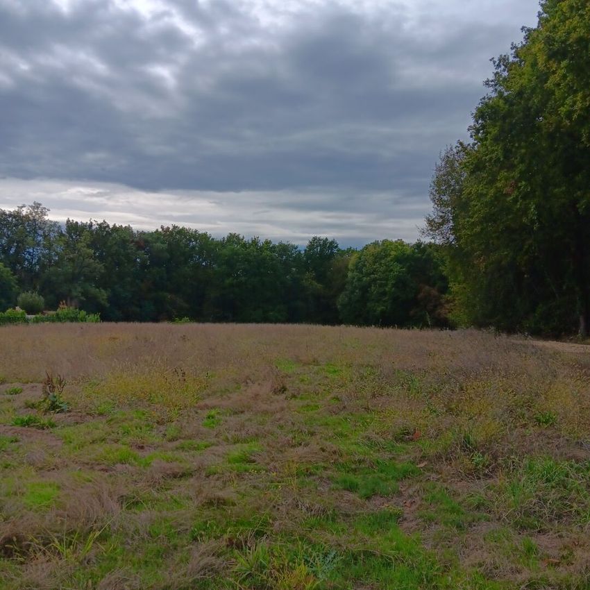Image de terrain à Léguillac-de-l'Auche