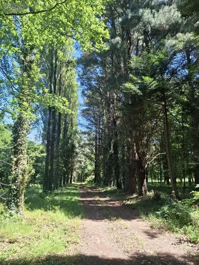 Image Jardin à  maison individuelle de Chevaigné