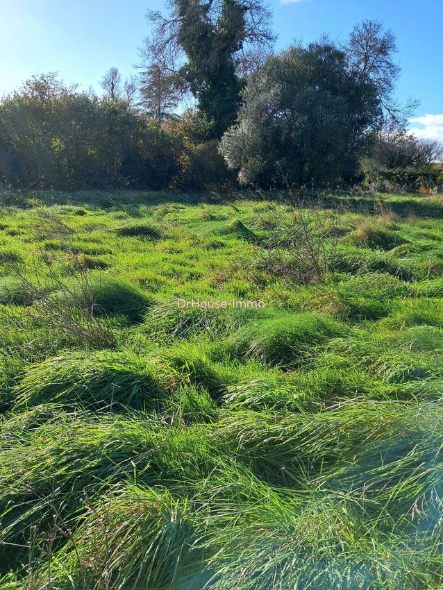 Image de terrain à Civrac-en-Médoc