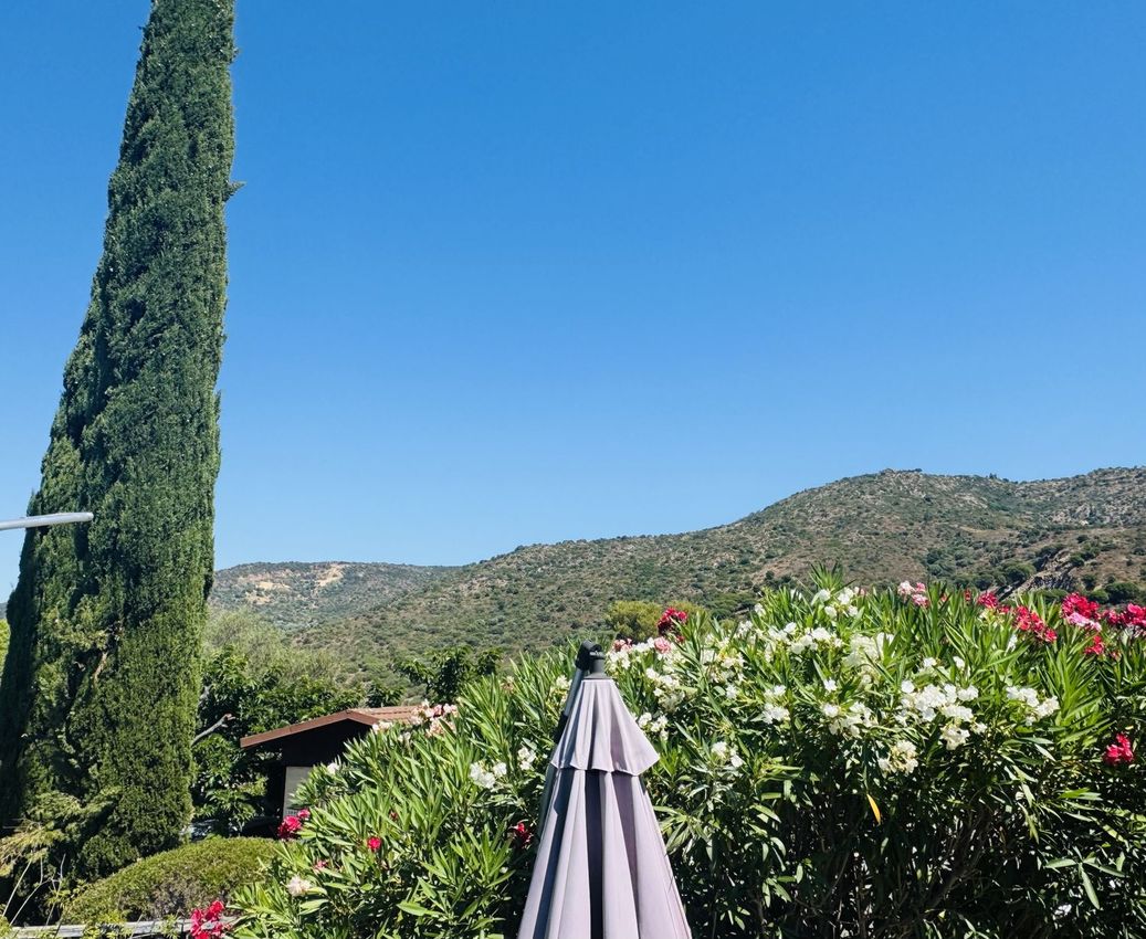 Image Vue à  propriété agricole de Bormes-les-Mimosas