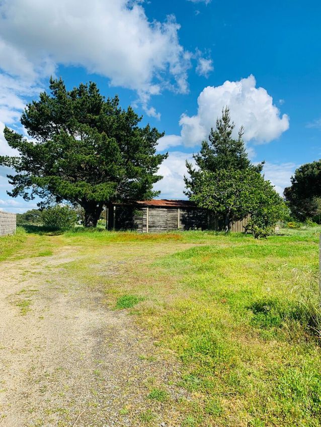 Image de terrain à Notre-Dame-de-Riez