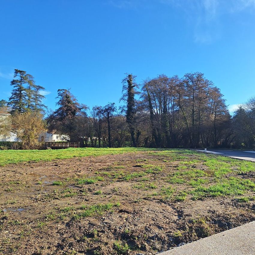 Image de terrain à Carignan-de-Bordeaux