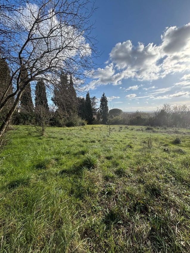 Image de terrain à Villepinte