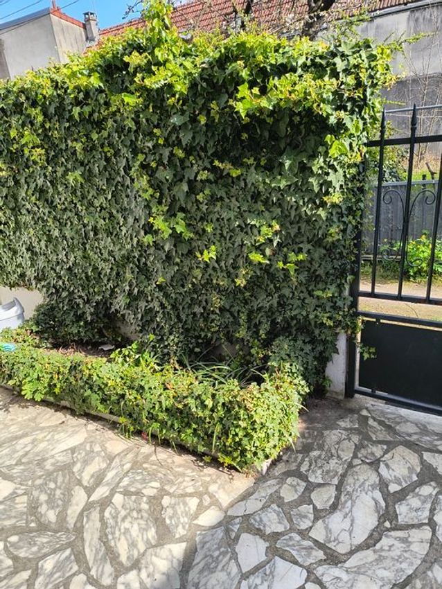 Image Jardin à appartement de Épinay-sur-Seine