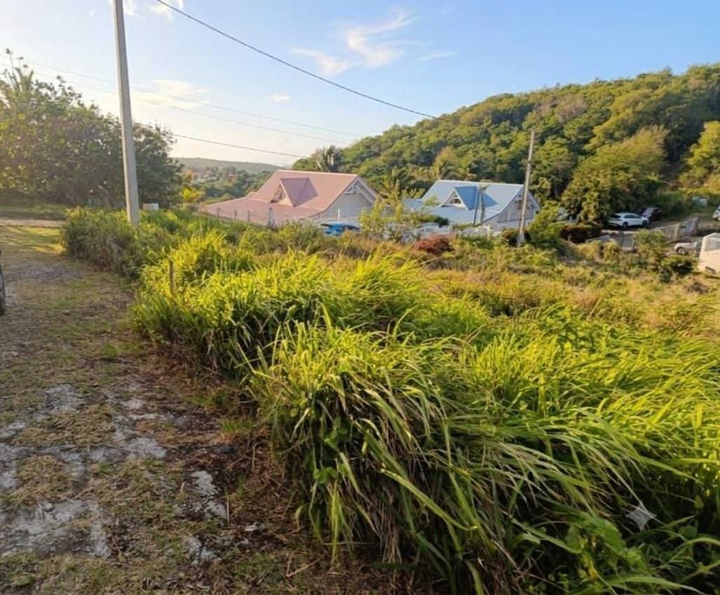 Image de terrain à Le Marin