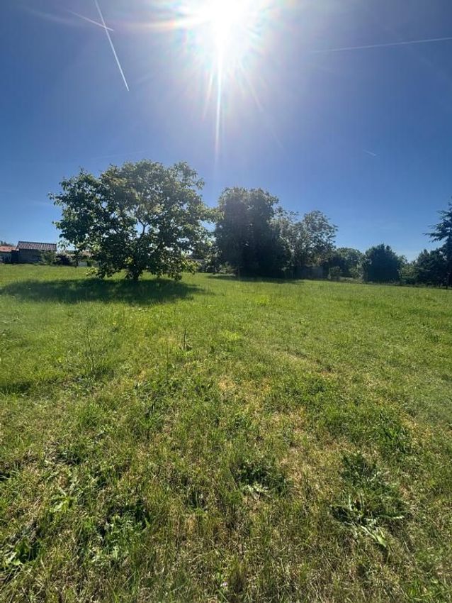 Image de terrain à Montmorillon