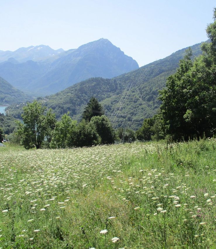 Image Vue à terrain de Vaujany