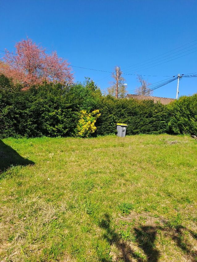 Image de terrain à Bourron-Marlotte