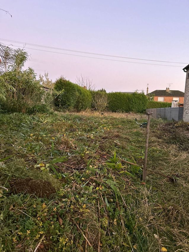 Image de terrain à Avesnes-le-Sec