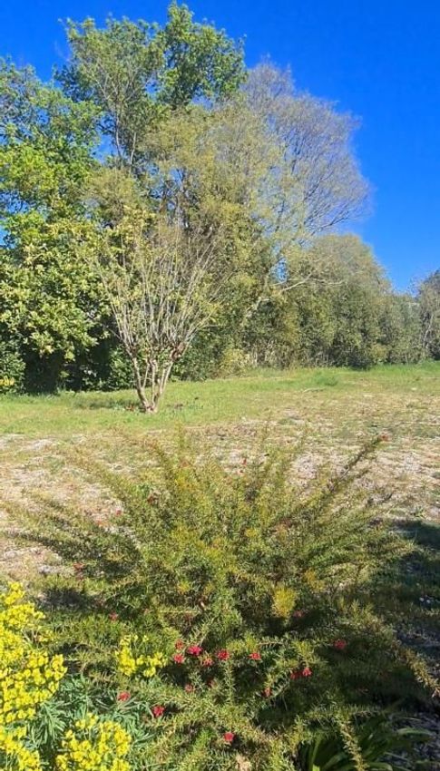 Image de terrain à Le Bouscat