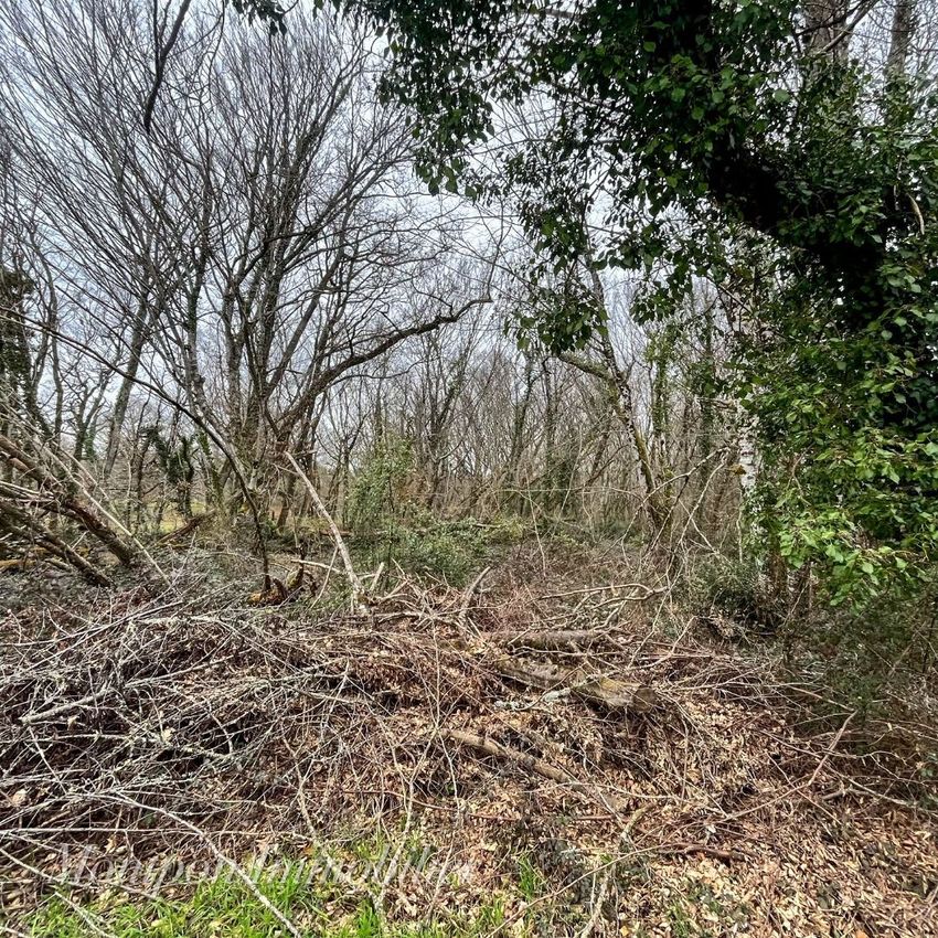 Image de terrain à Montpon-Ménestérol