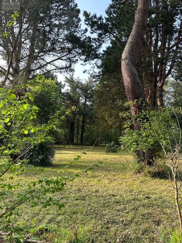 Image de terrain à Saint-Briac-sur-Mer