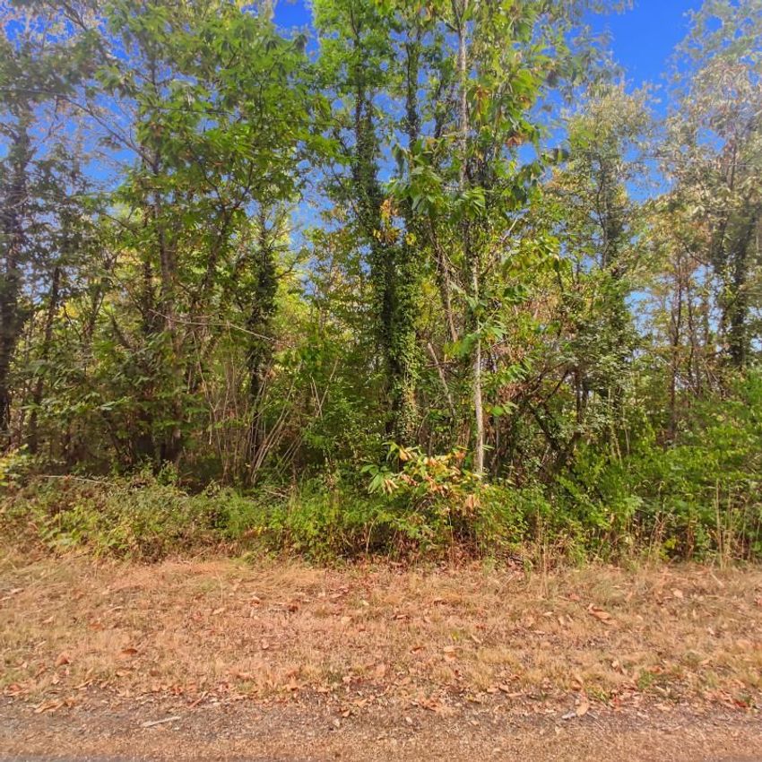 Image de terrain à Saint-Germain-du-Salembre