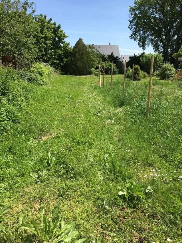 Image de terrain à Esvres