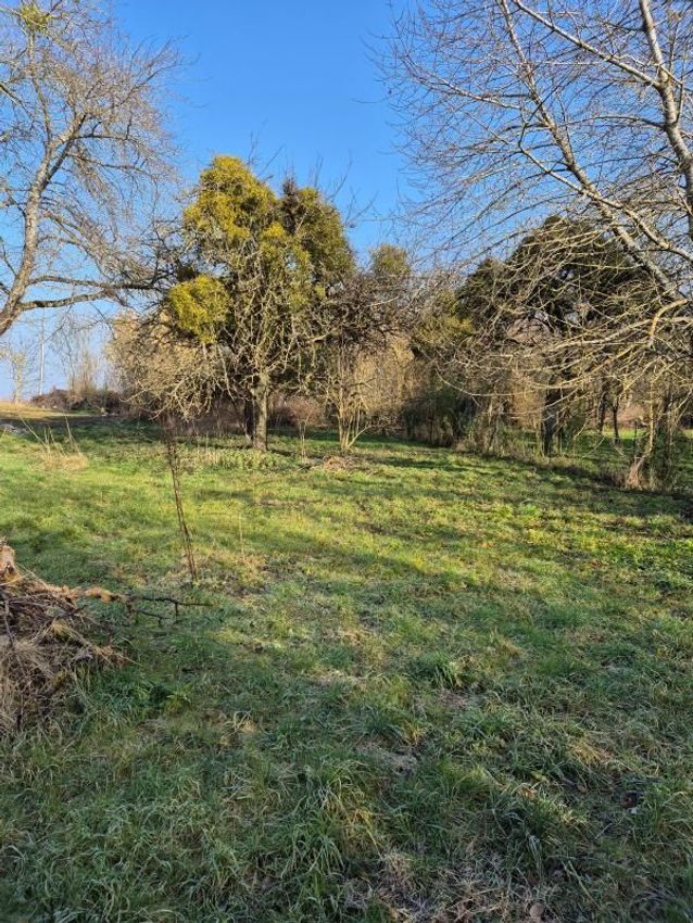 Image de terrain à Rozay-en-Brie