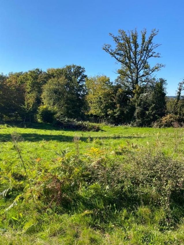 Image de terrain à Chaillac-sur-Vienne