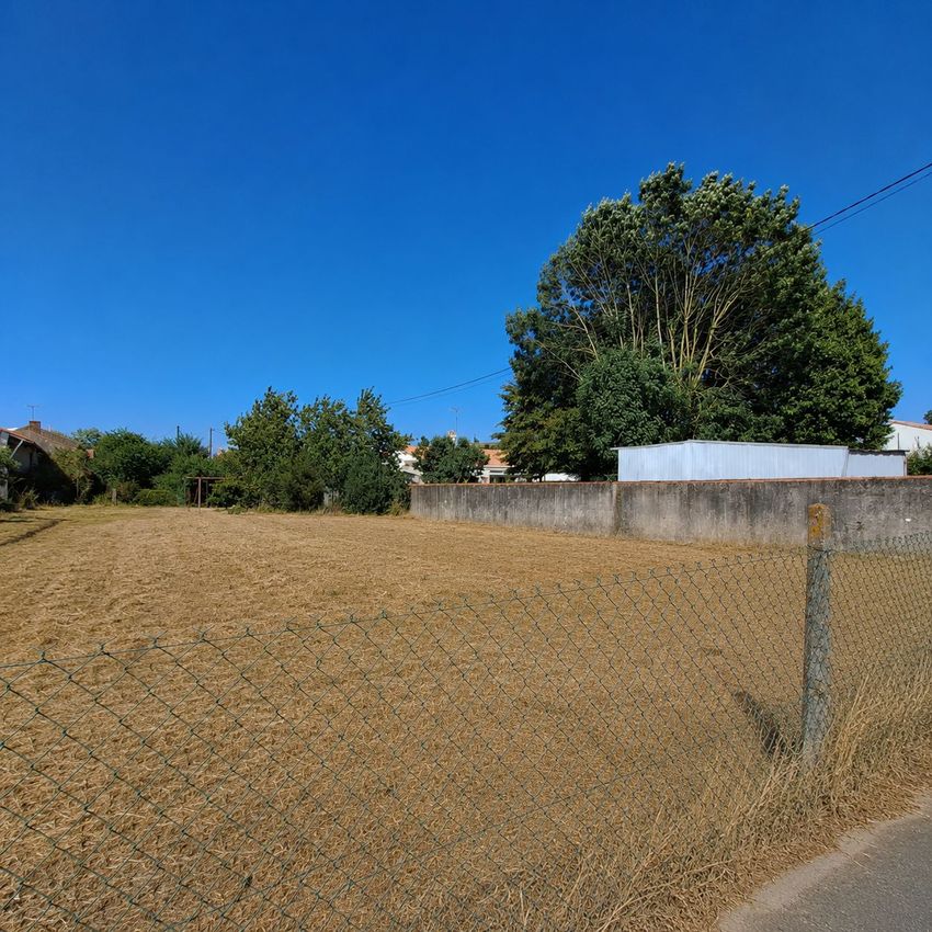 Image de terrain à Saint-Georges-du-Bois