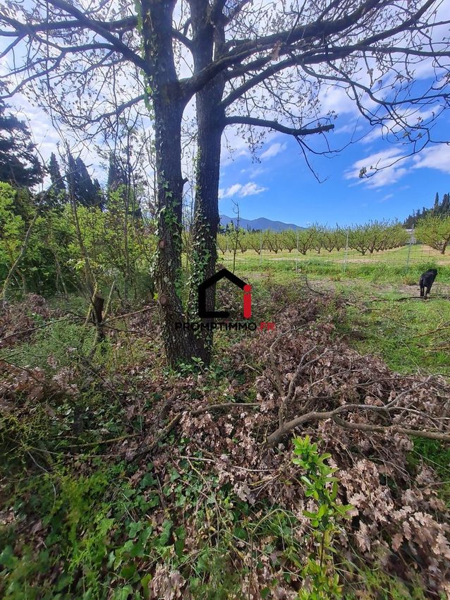 Image de terrain à La Viscomta