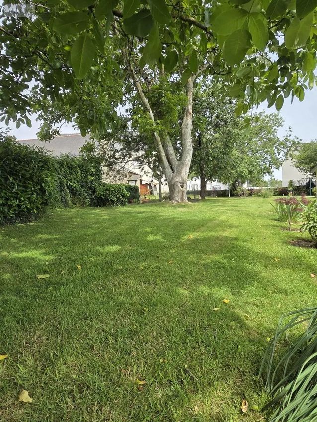 Image de terrain à Merlevenez