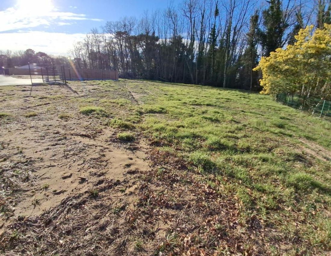 Image de terrain à Les Mathes