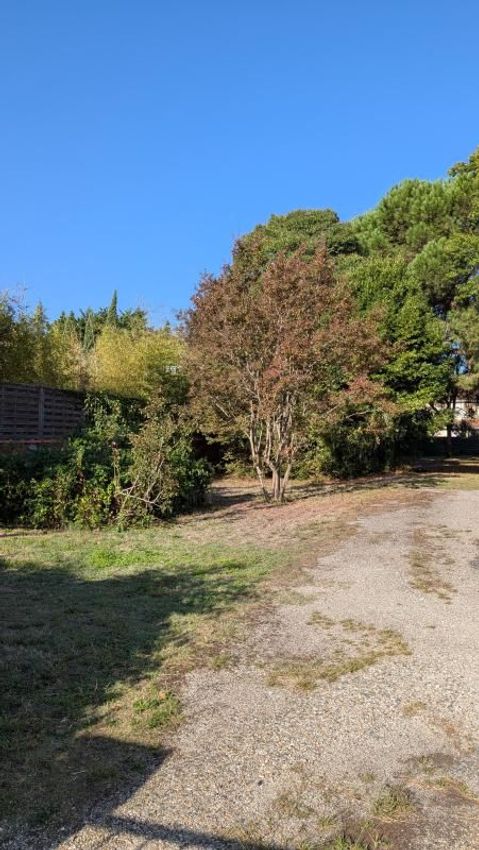 Image de terrain à Bordeaux