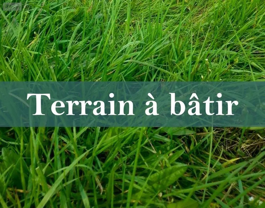 Image de terrain à Brain-sur-Allonnes