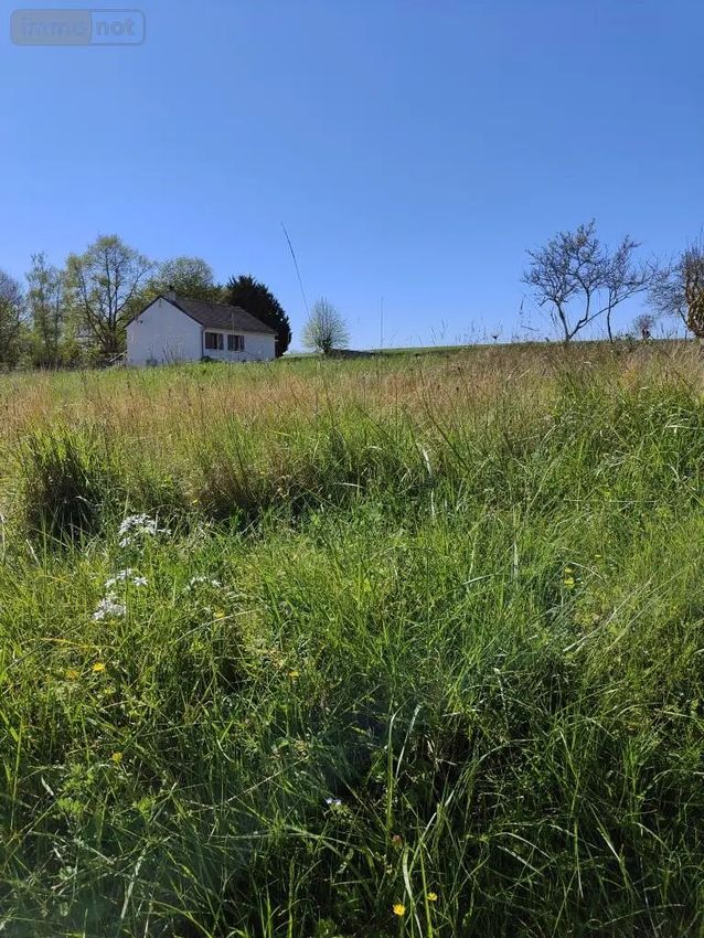 Image de terrain à La Croix-en-Touraine