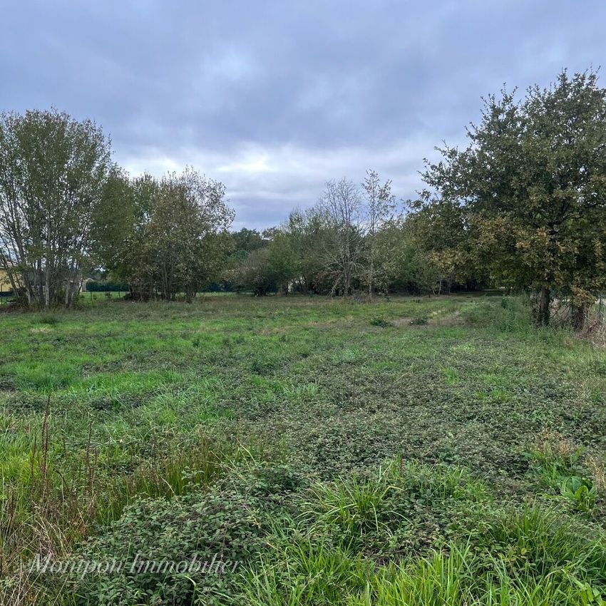 Image de terrain à Montpon-Ménestérol