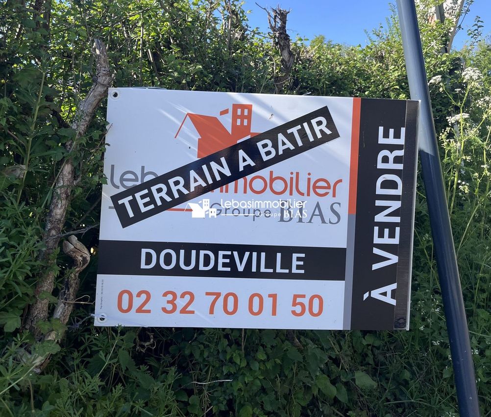 Image de terrain à Routes