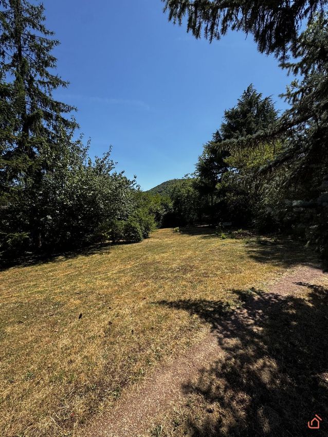 Image de terrain à Couzon-au-Mont-d'Or