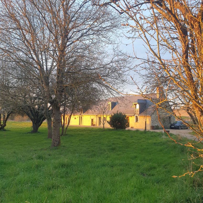 Image Jardin à  maison individuelle de Juvardeil