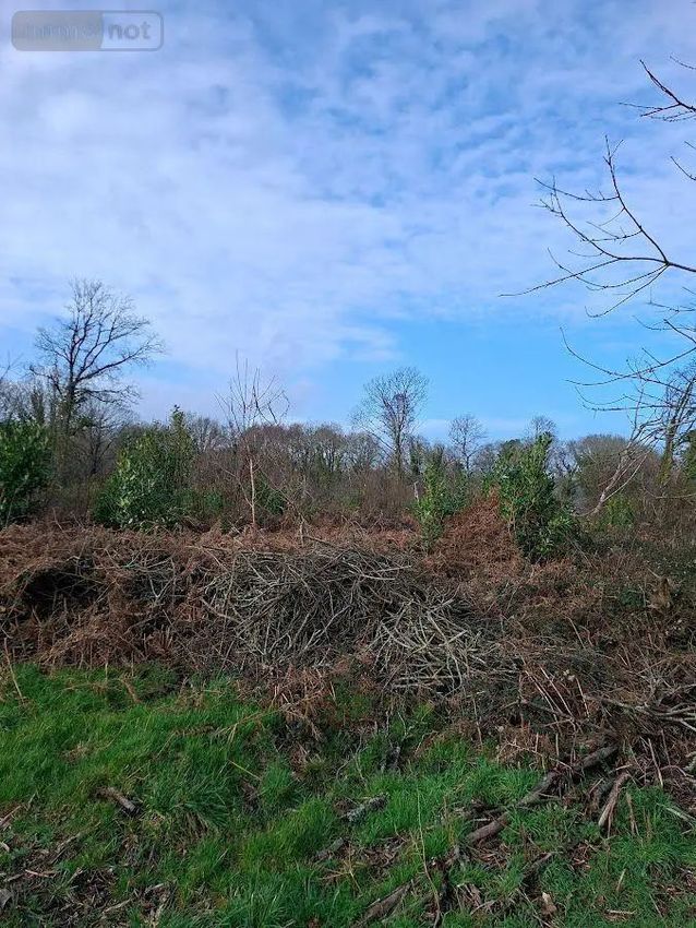 Image de terrain à Clohars-Carnoët