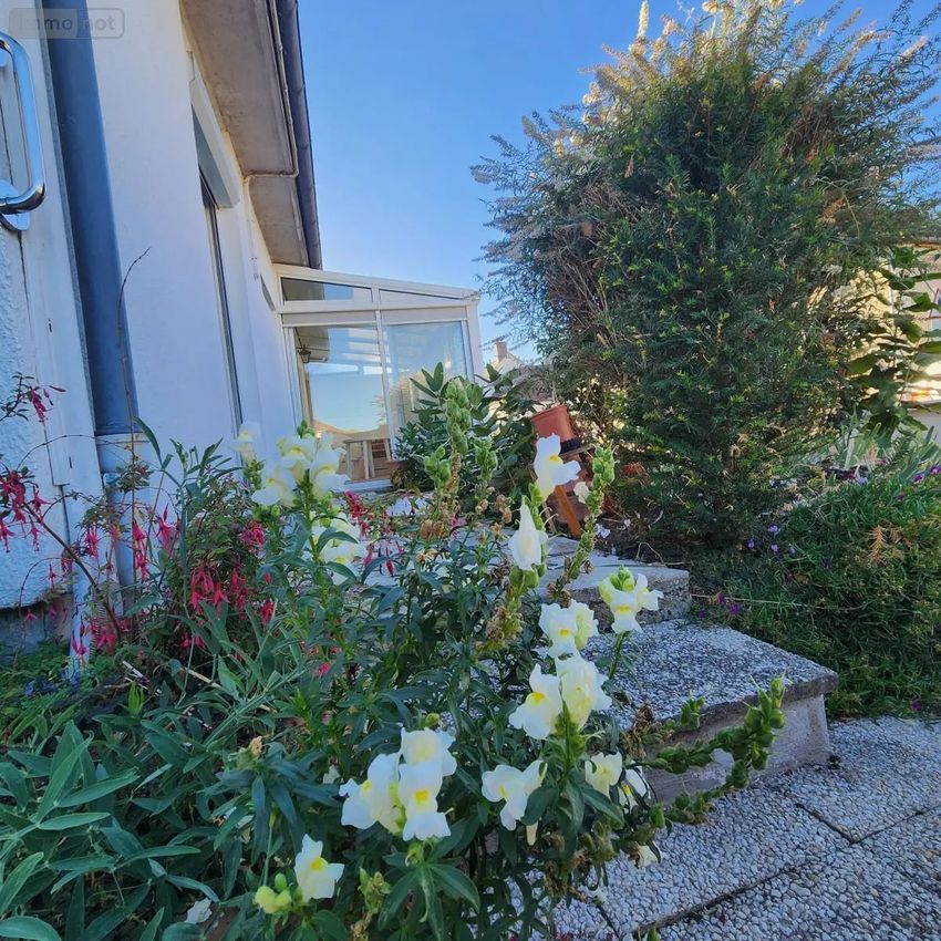 Image Jardin à  maison individuelle de Avezé