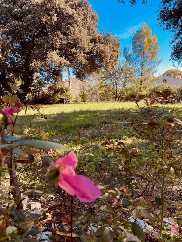 Image de terrain à Villevieille