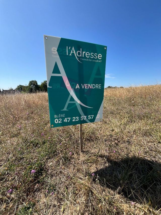 Image de terrain à La Croix-en-Touraine