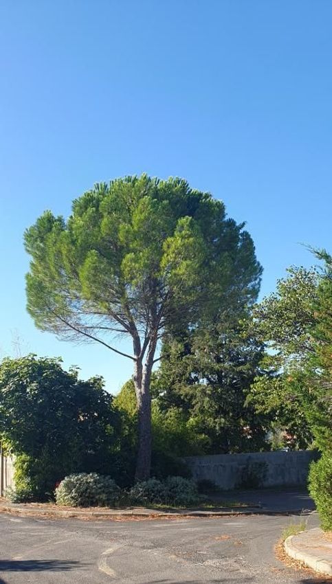 Image de terrain à Grabels