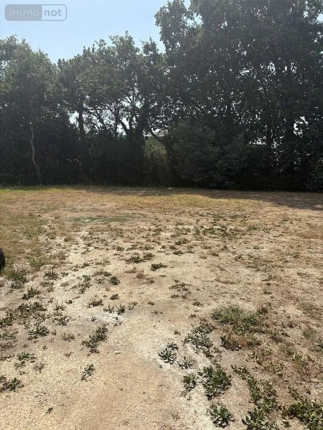 Image de terrain à Ploeren