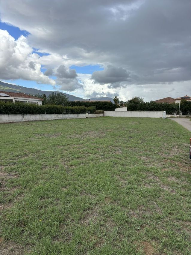 Image de terrain à Lucciana