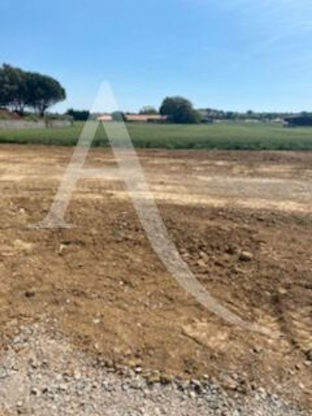 Image de terrain à Longeville-sur-Mer