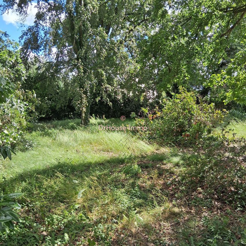 Image de terrain à Saint-Denis-en-Val