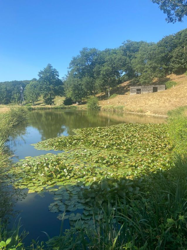 Image de terrain à Lavault-de-Frétoy