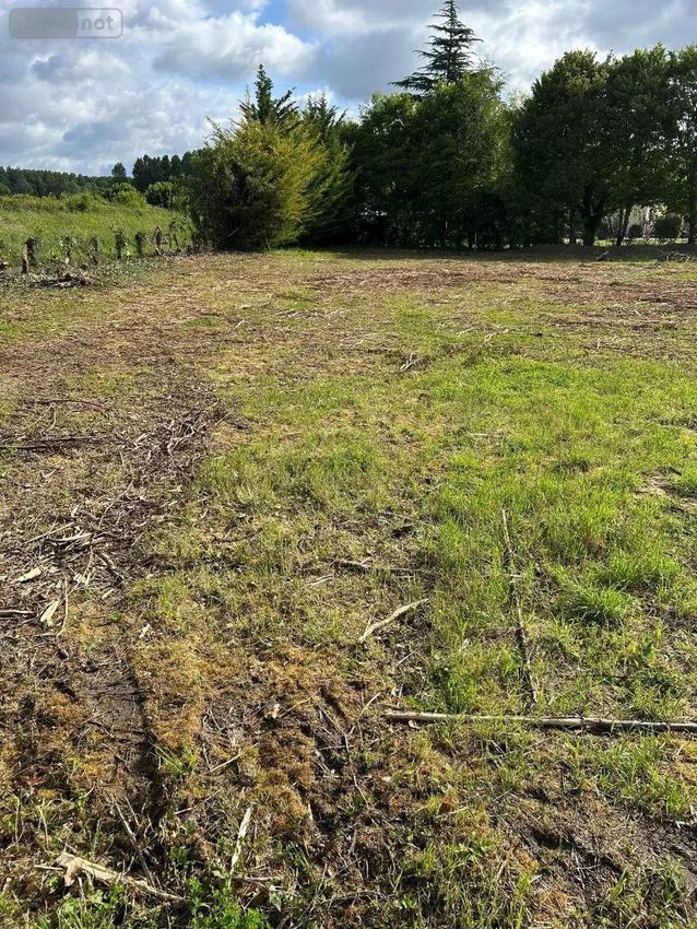 Image de terrain à Rivarennes