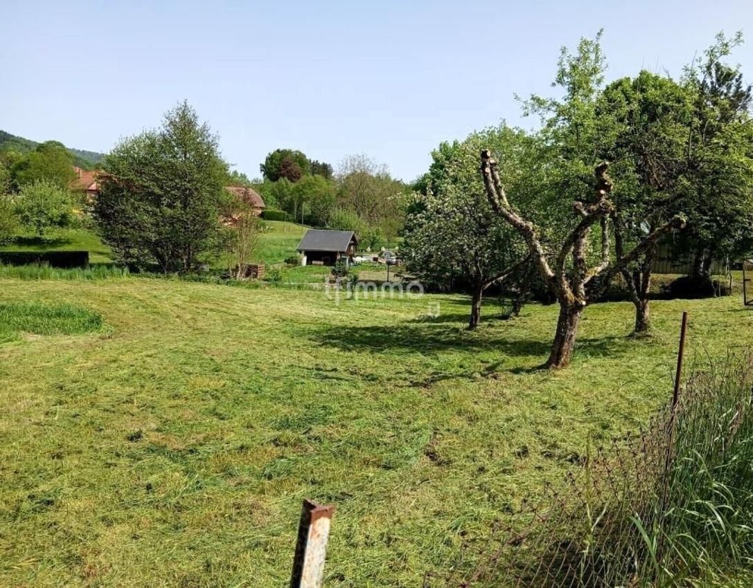 Image de terrain à Masevaux-Niederbruck