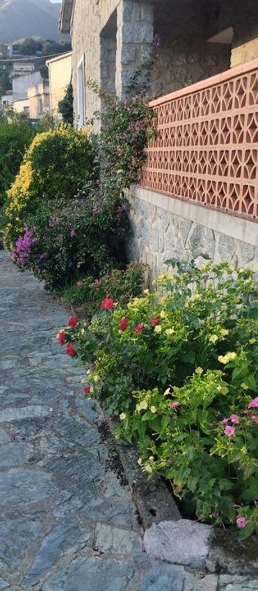 Image Jardin à  maison individuelle de Petreto-Bicchisano