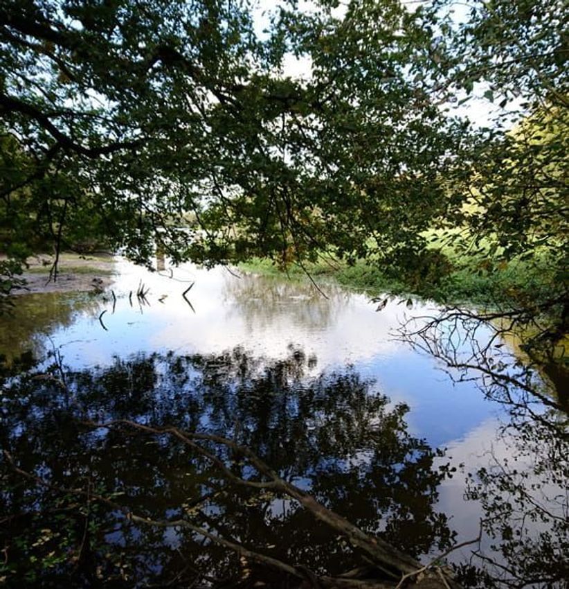 Image de terrain à Neung-sur-Beuvron