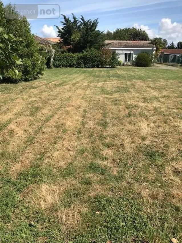 Image de terrain à Saint-Laurent-de-la-Prée