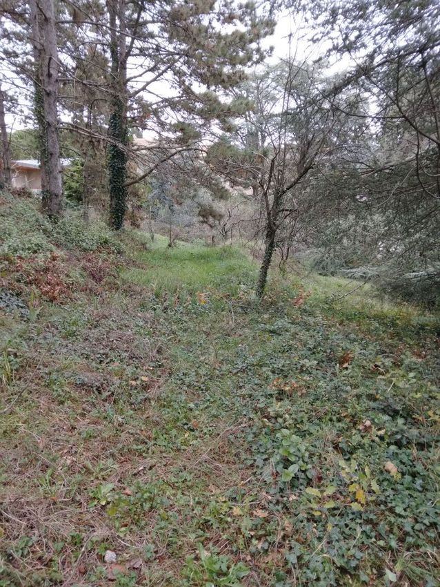 Image de terrain à Saint-Péray