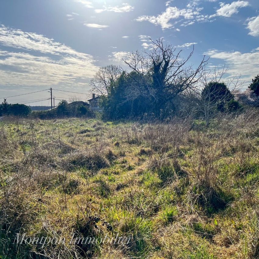 Image de terrain à Saint-Martin-de-Gurson